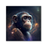 Monkeying around the Universe - Affengeile Bilder