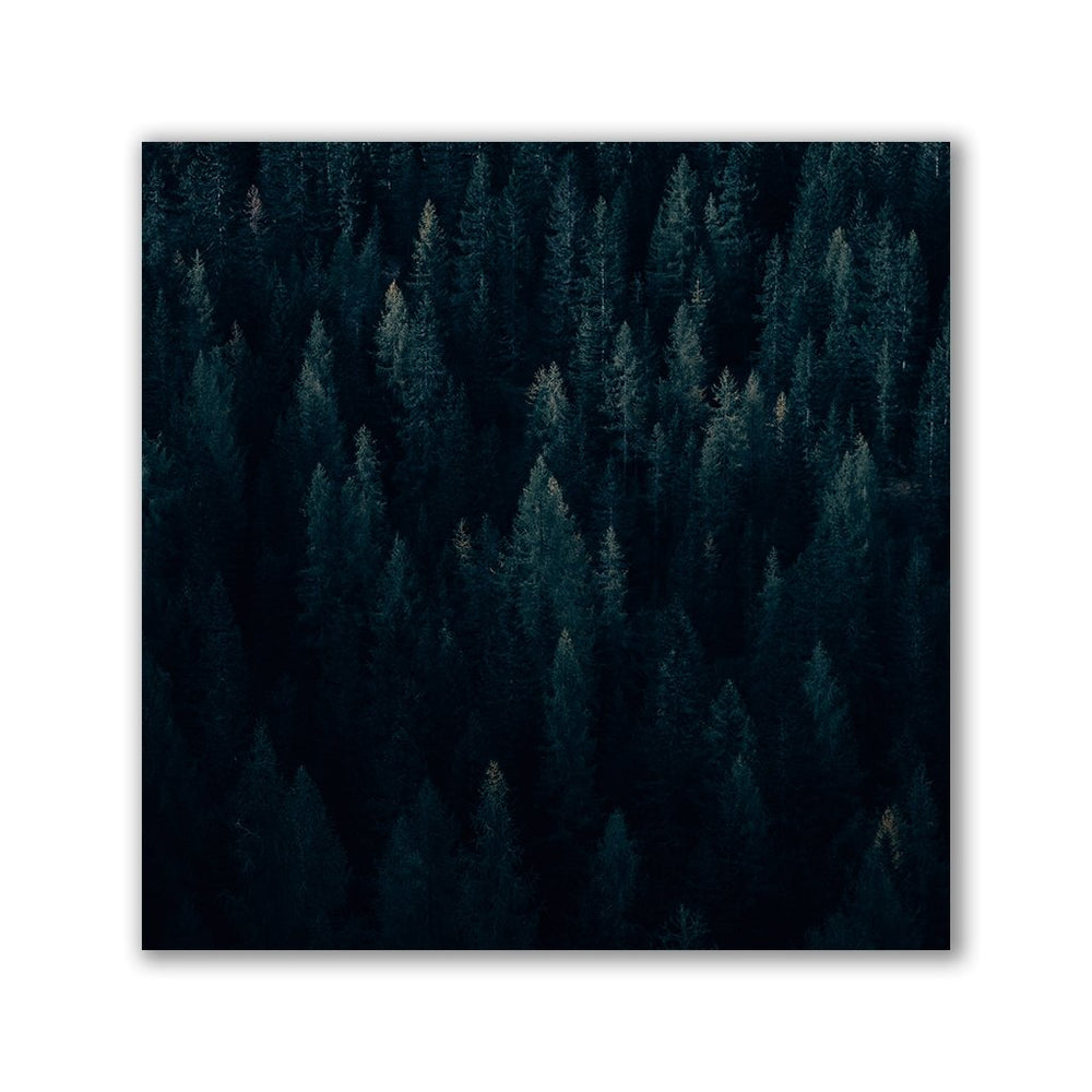 Moody Forest - Quadrat by Philipp Pilz - Affengeile Bilder