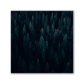 Moody Forest - Quadrat by Philipp Pilz - Affengeile Bilder