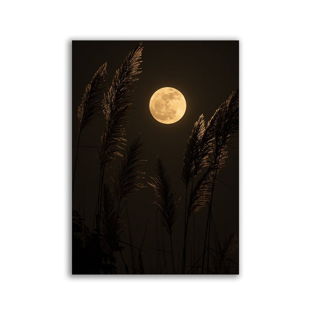 "Moon" ﻿ - Affengeile Bilder