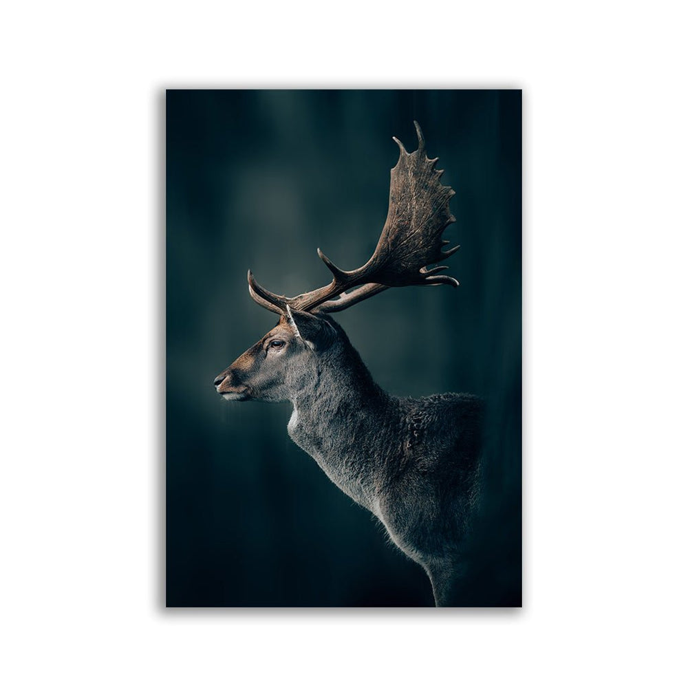 "Oh my Deer" by Philipp Pilz - Affengeile Bilder