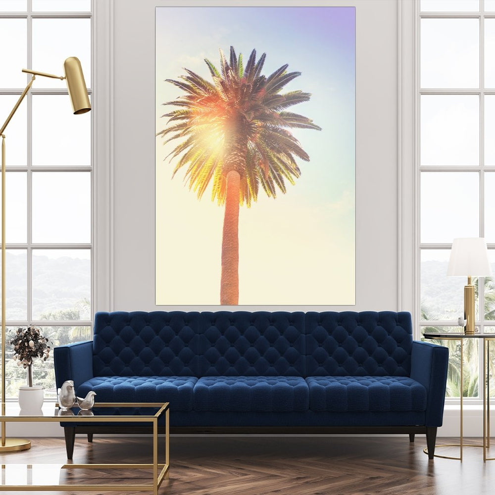 "Sunny Palm Tree" - Affengeile Bilder