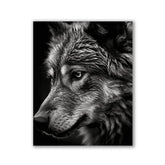 Wolf Closeup by Henrivaux - Affengeile Bilder