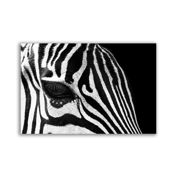 "Zebra Eye" by Adrian Vieriu - Affengeile Bilder